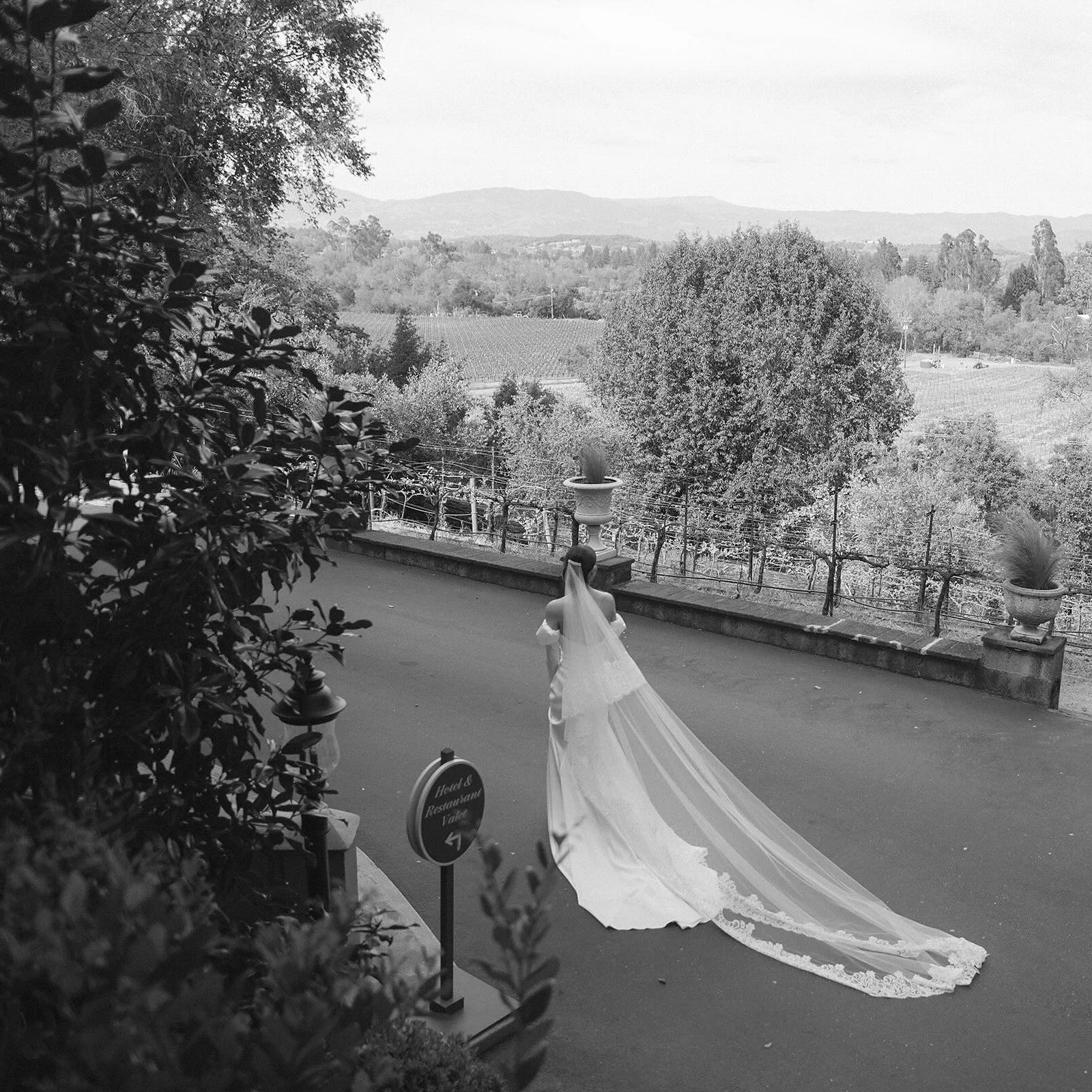Editorial — Immersed Education aerial bride