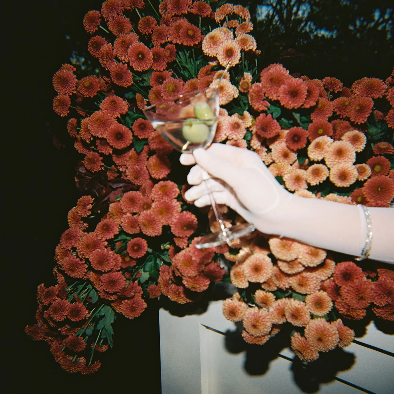 Editorial — Immersed Education martini flowers